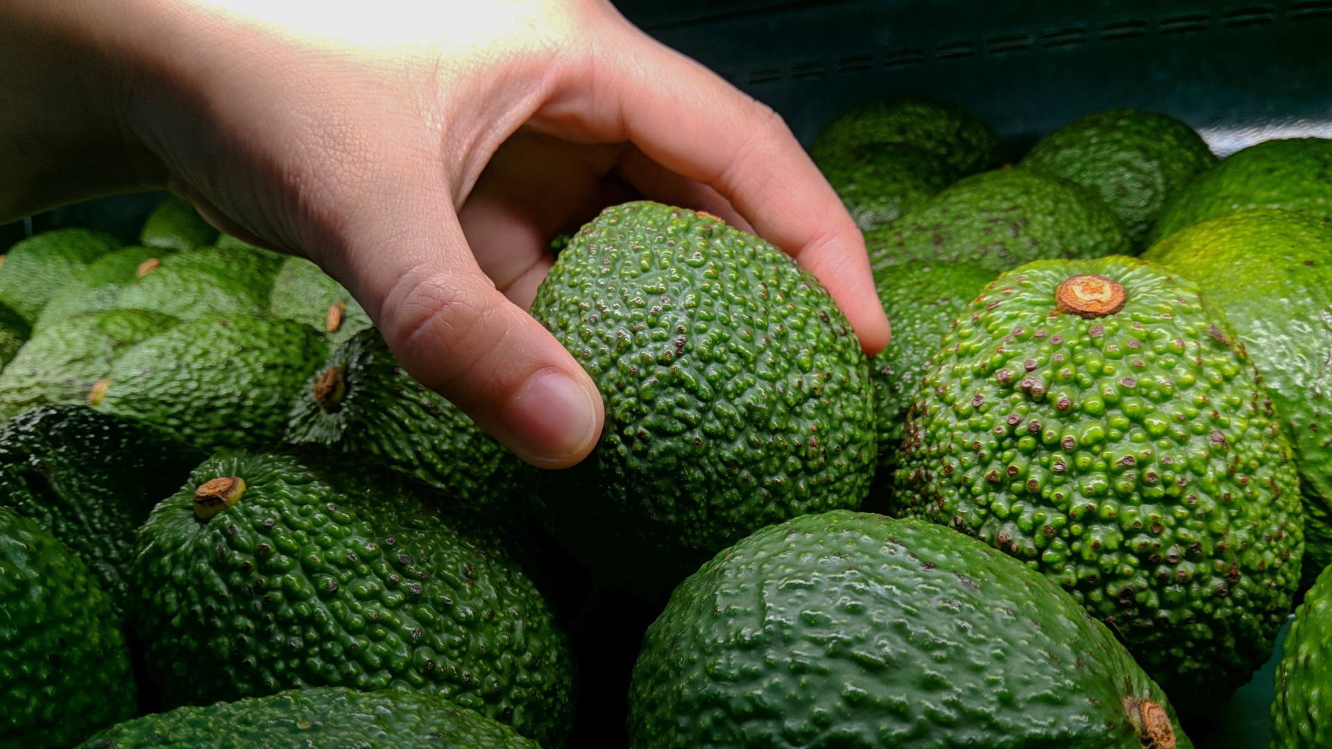 Empresa portuguesa Agrocate alavanca o seu potencial de crescimentoatravés de investimento da ActiveCap – Capital Partners